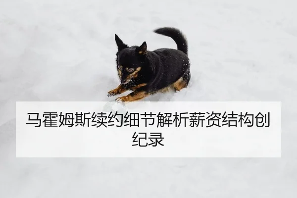 马霍姆斯续约细节解析薪资结构创纪录